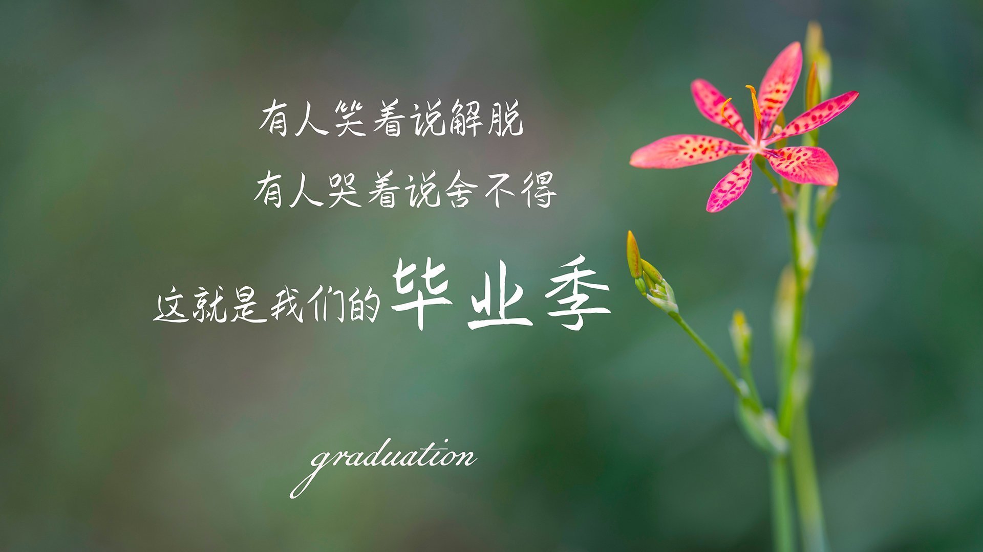 拉什福德存在感拉满，摩纳哥生死战取胜巴拉圭，绿茵场上的双重奏鸣