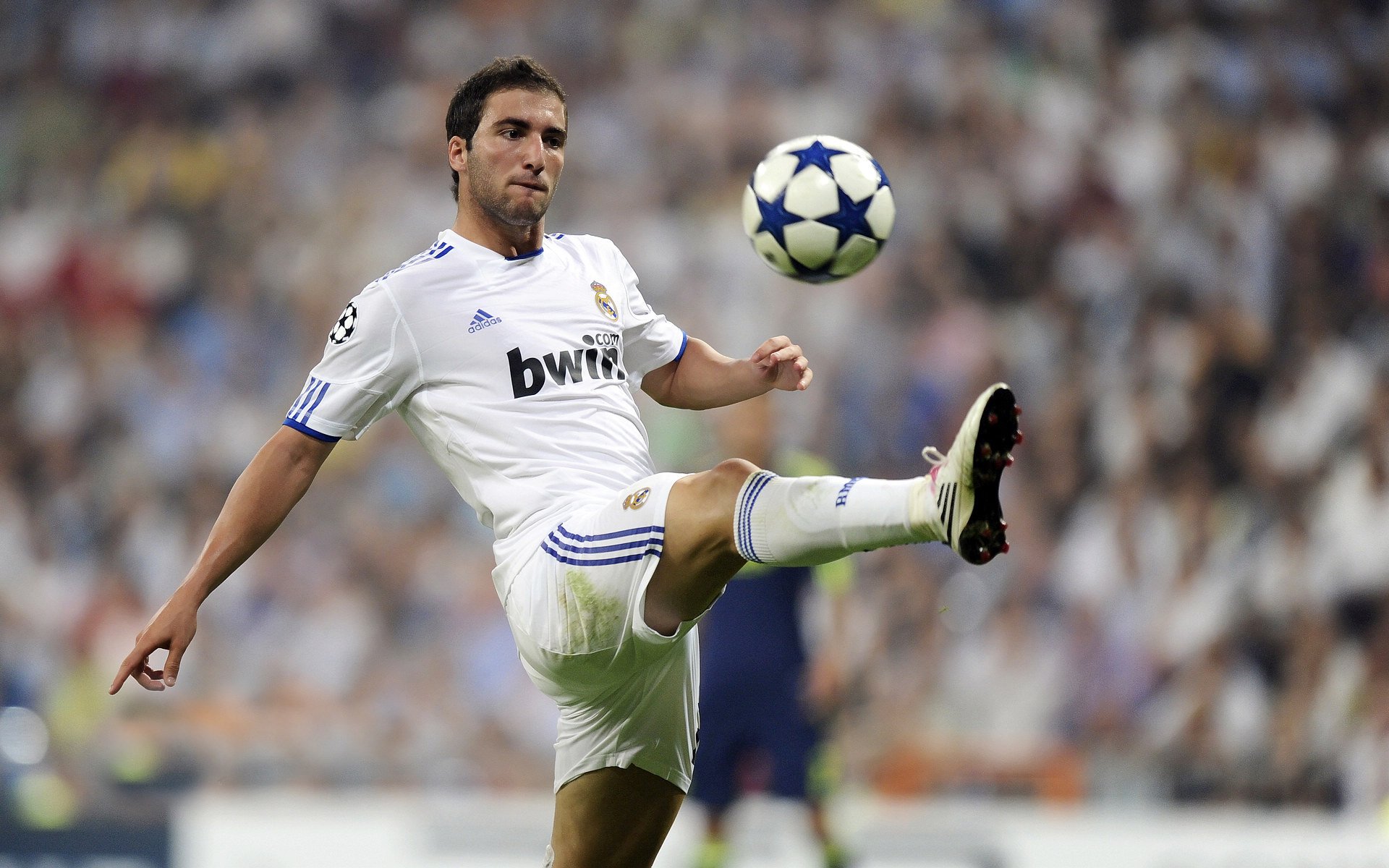 F1新赛季揭幕战与贝蒂斯生死战，速度与激情的双重奏